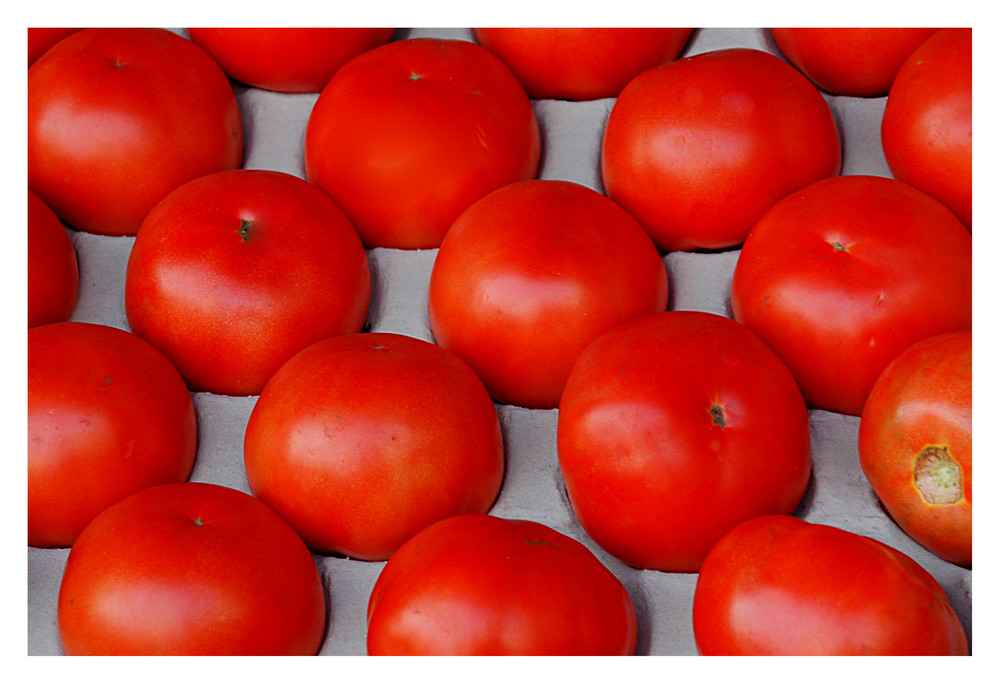 Tomaten aus Holland