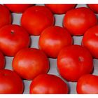 Tomaten aus Holland