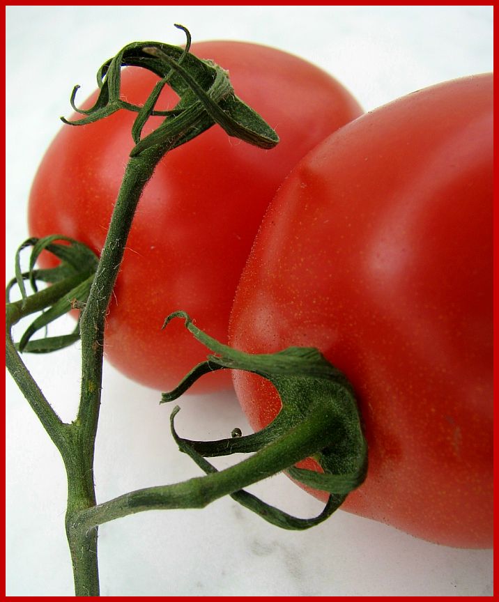 Tomaten