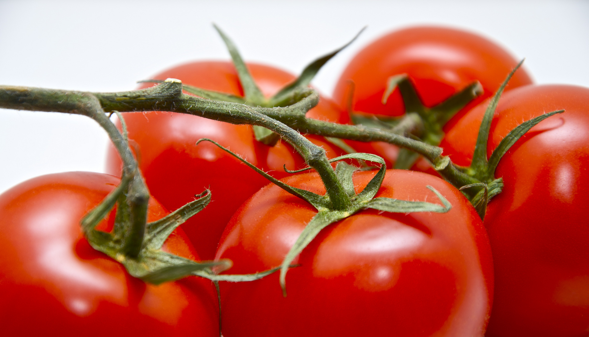 Tomaten Foto & Bild stillleben, foodfotografie, obst & gemüse Bilder
