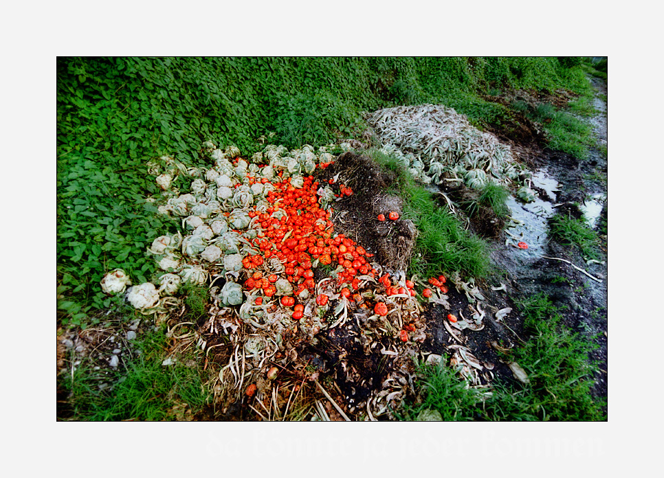 Tomaten-Blumenkohlsalat an Unkraut (Fotokunst-Version, nicht totgeblitzt)