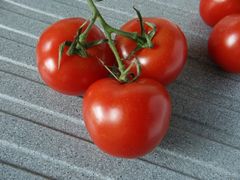 Tomaten