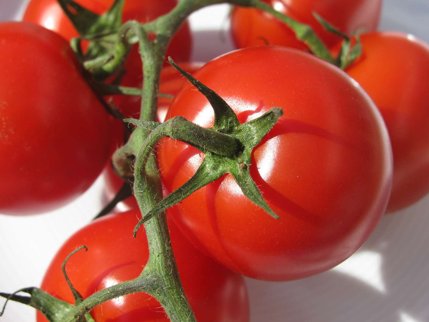 Tomaten