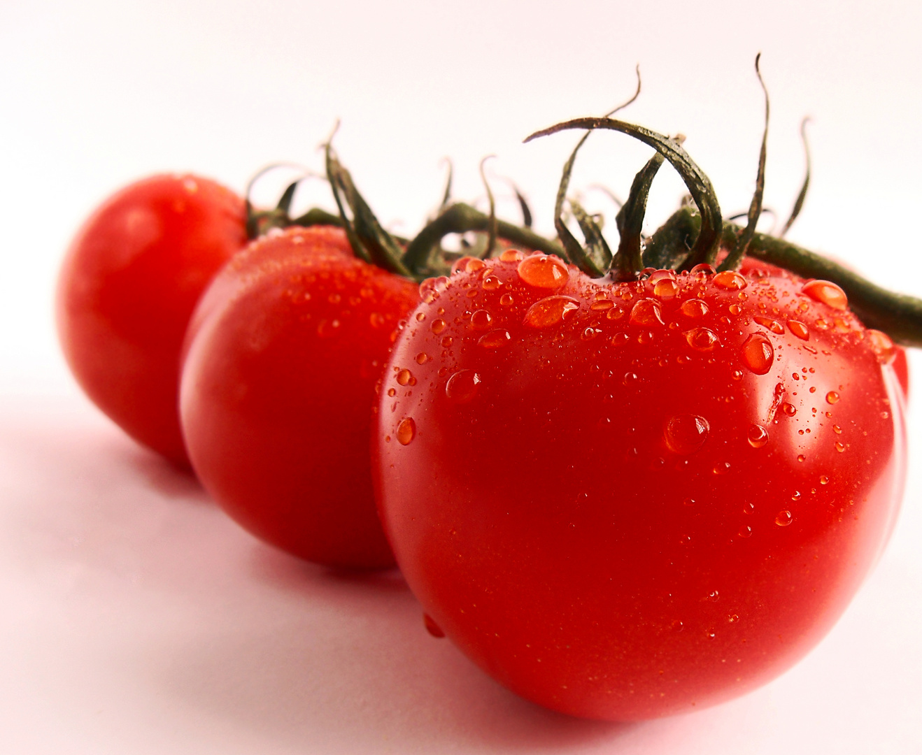 tomaten