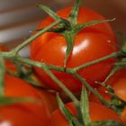 Tomaten