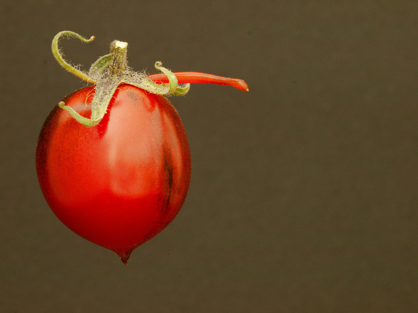 "Tomaten-Einhorn"