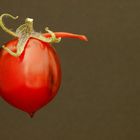 "Tomaten-Einhorn"