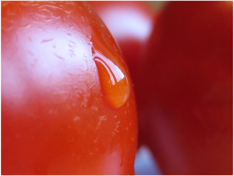 Tomaten