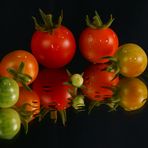 Tomaten - Familie