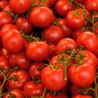 Tomaten