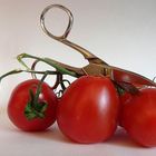 Tomaten III