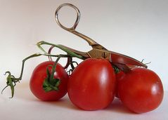 Tomaten III