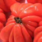 Tomaten in einer Markthalle in Barcelona