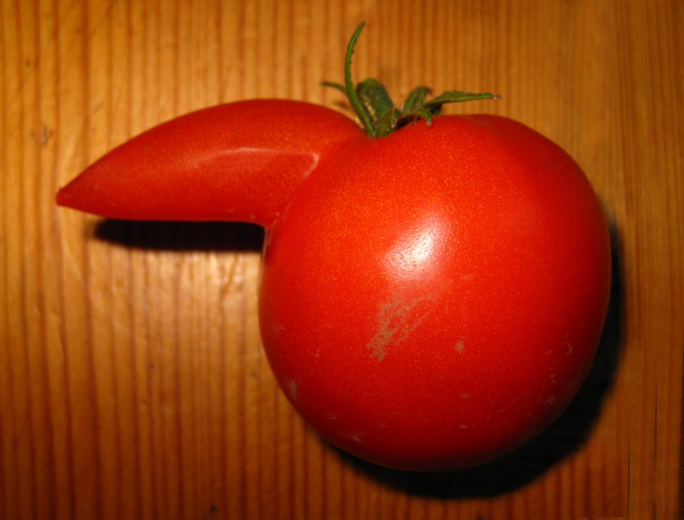 Tomaten-Individualismus...
