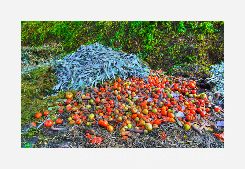 Tomaten-Lauchsalat an Unkraut