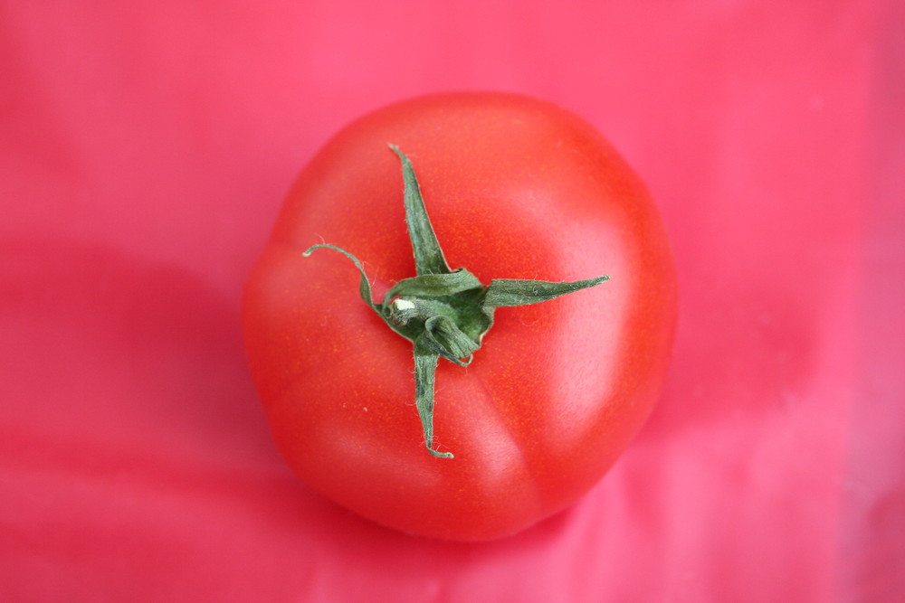 Tomaten (noch eine)