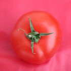 Tomaten (noch eine)