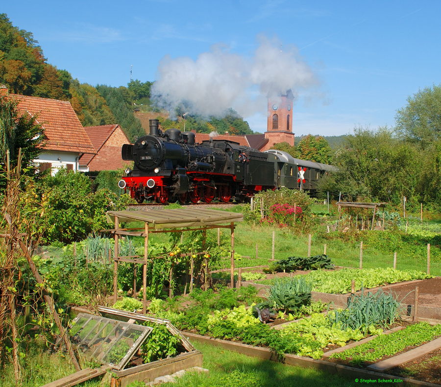 "Tomaten pflücken während ...