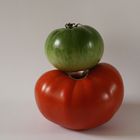 Tomaten Rot und Grün