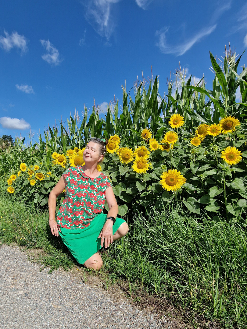 Tomaten + Sonnenblumen :-) 