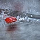 Tomaten Splash 2
