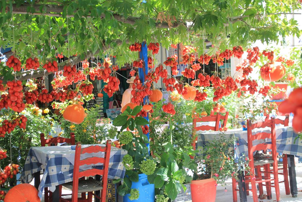 Tomaten tocknen in der Taverne 