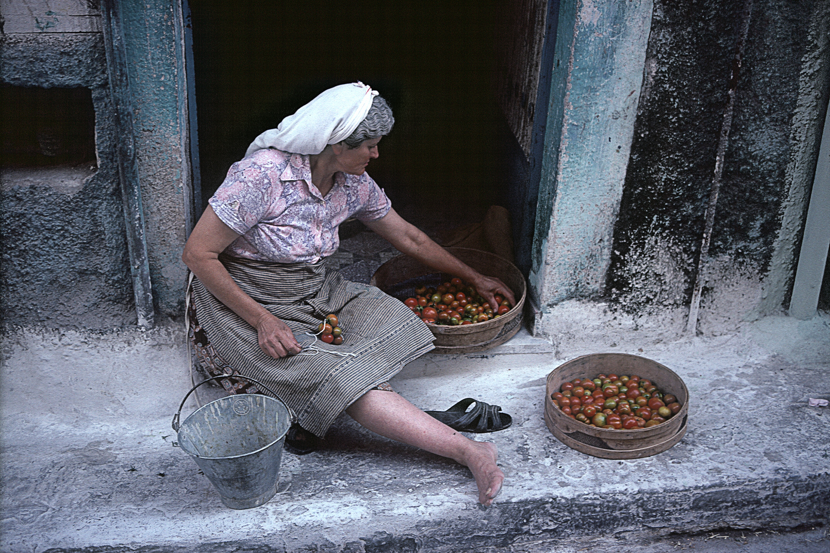 Tomaten trocknen