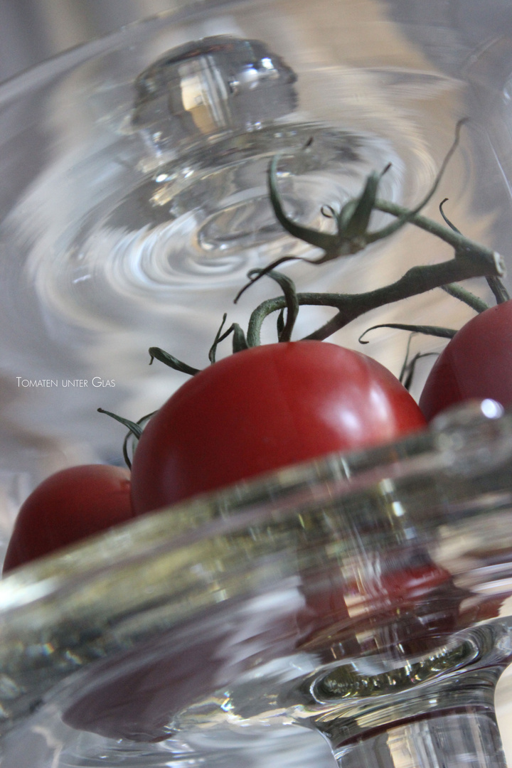 Tomaten unter Glas