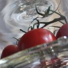 Tomaten unter Glas
