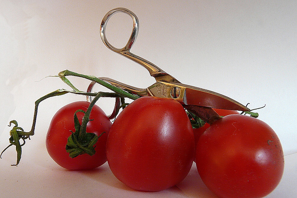 Tomaten V