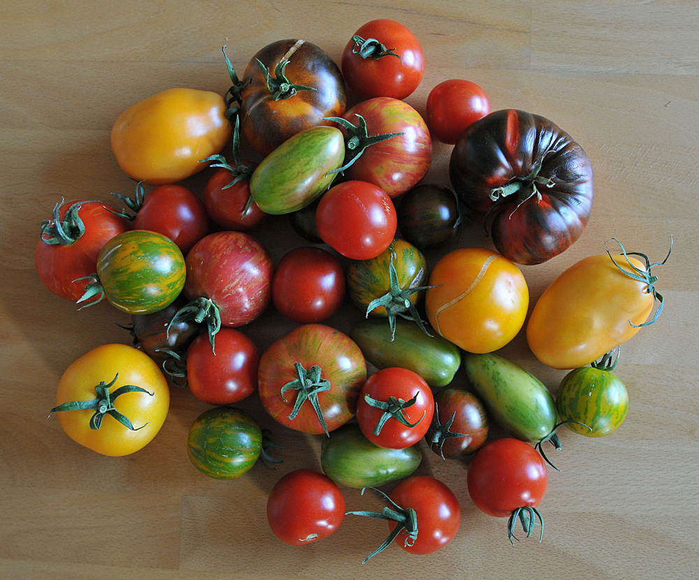 Tomaten – Vielfalt vom Offenbacher Wochenmarkt 2017