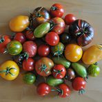 Tomaten – Vielfalt vom Offenbacher Wochenmarkt 2017