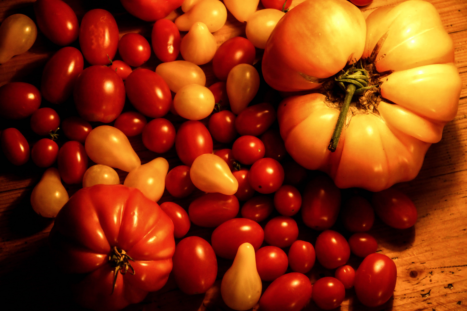 tomaten_1