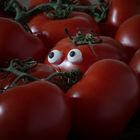 Tomatenaugen