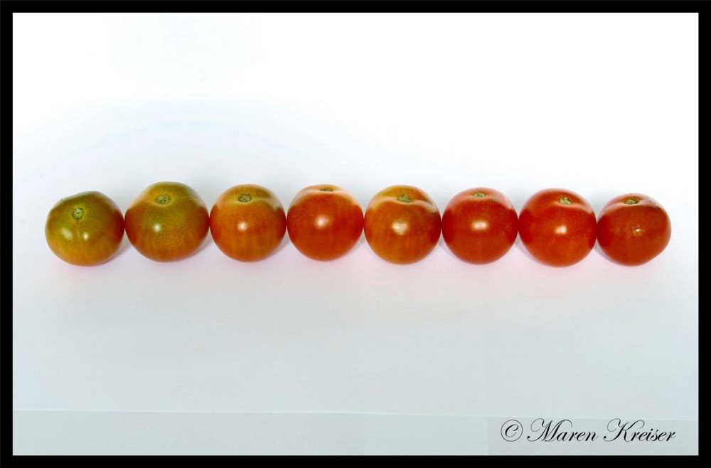 Tomatenfarben