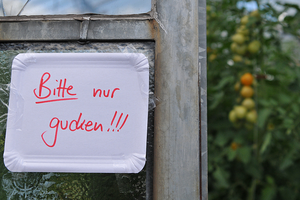 Tomatenfest 2017: Bitte nur gucken