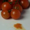 tomatenflek