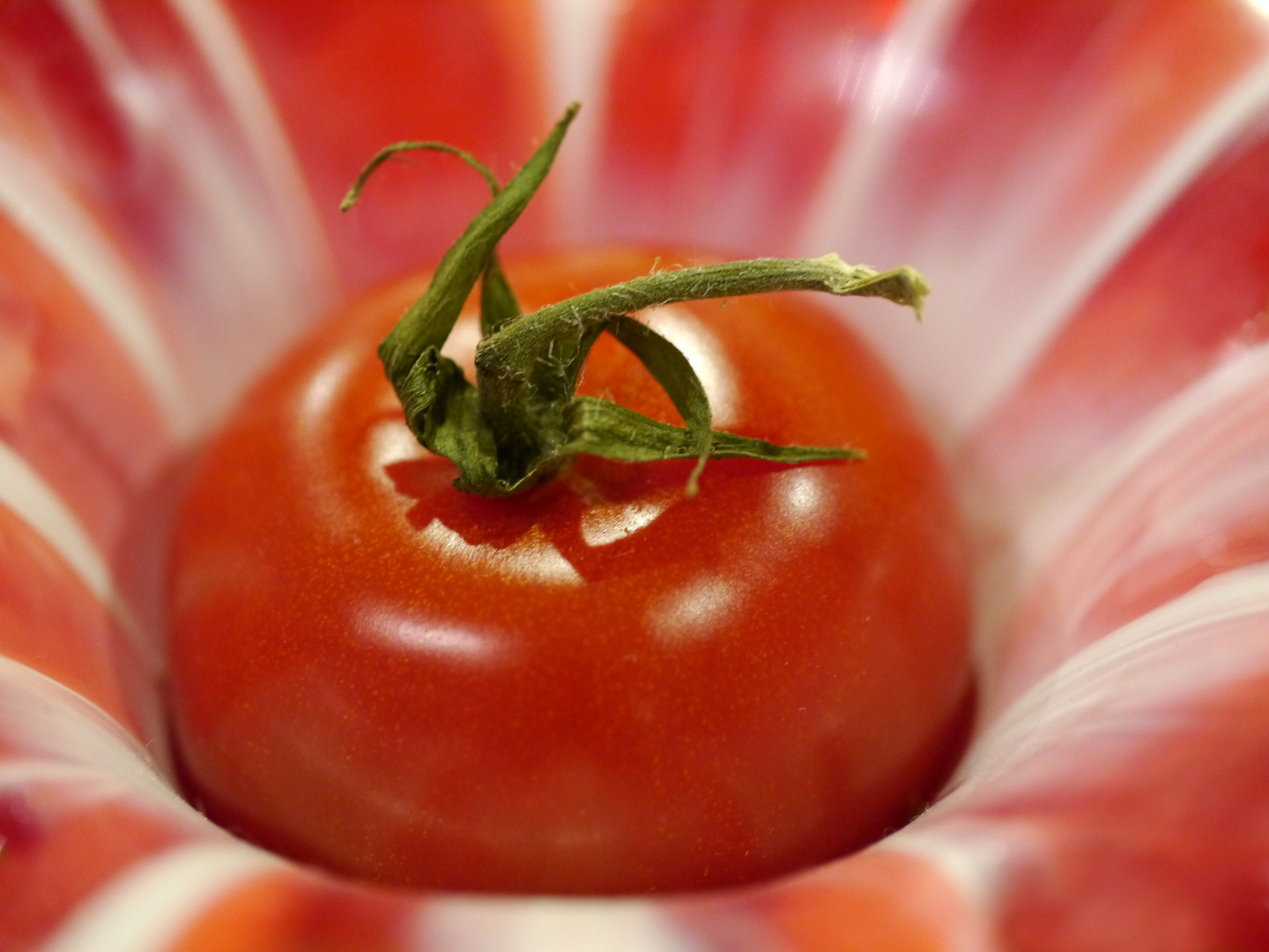 Tomatennest