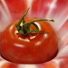 Tomatennest