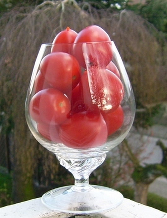 Tomatensaft