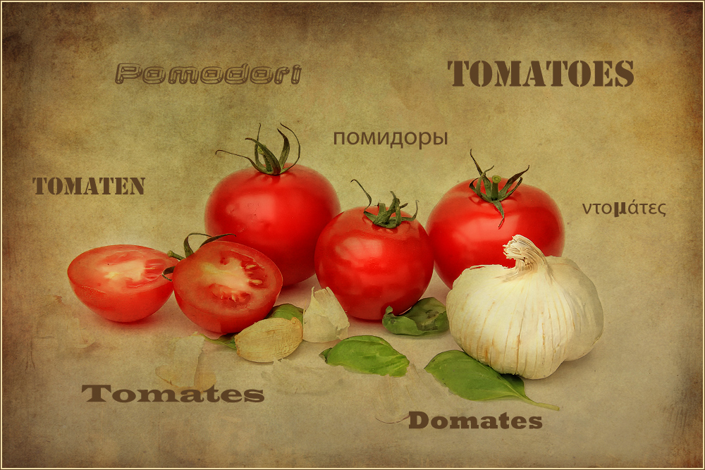 TOMATENSALAT