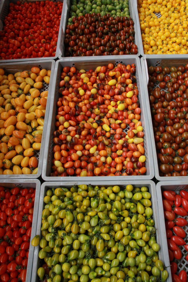 Tomatensalat