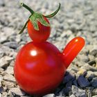 Tomatenstolz