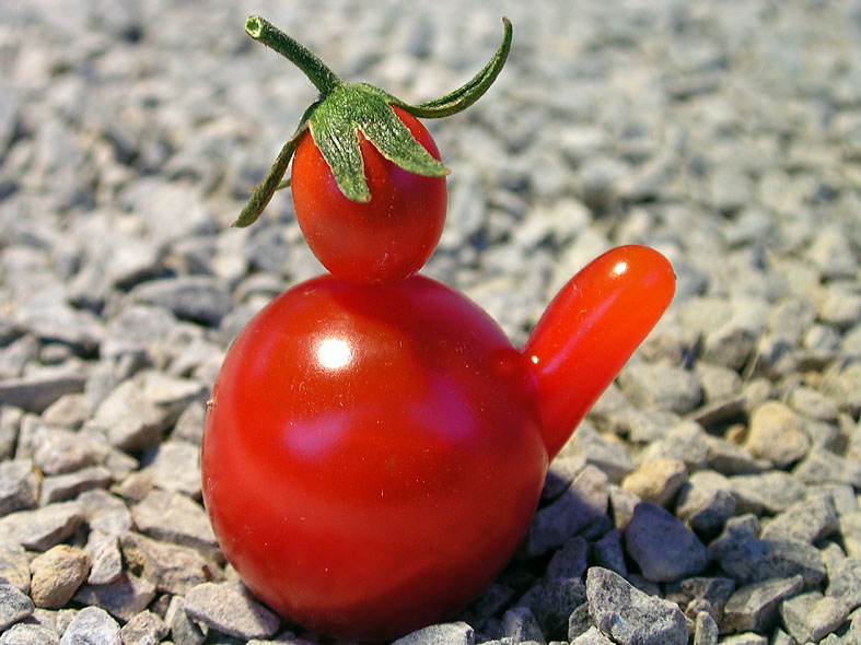 Tomatenstolz