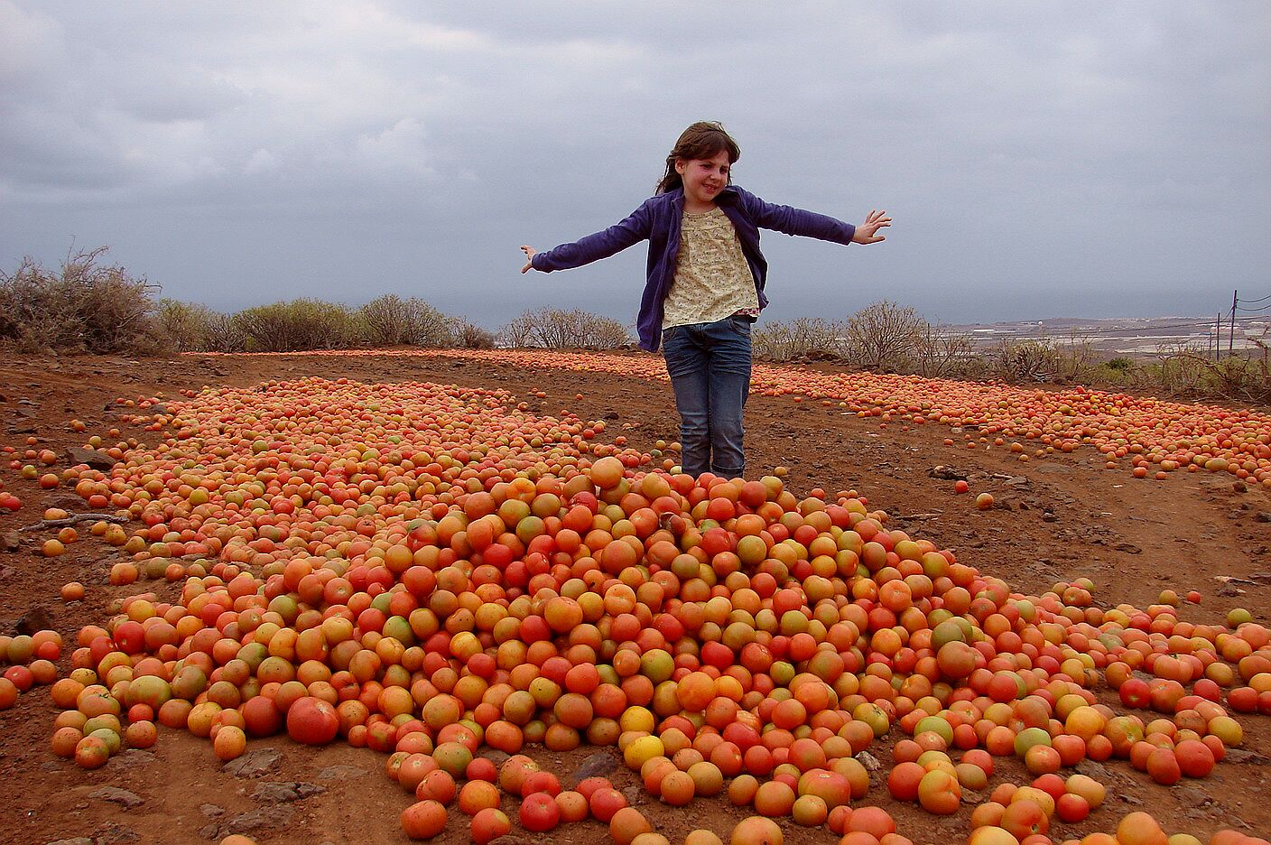 Tomatentanz