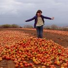 Tomatentanz