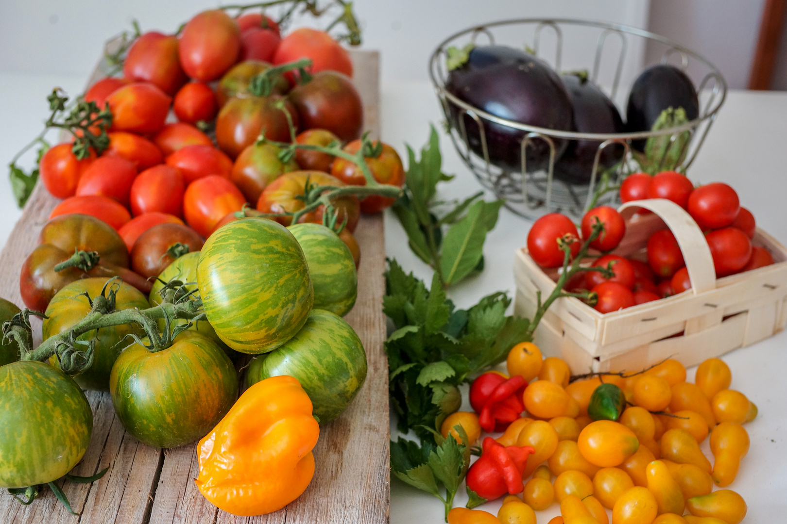 Tomatenvielfalt aus dem Garten