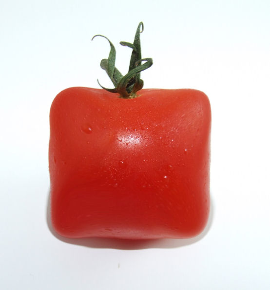 Tomatenwürfel