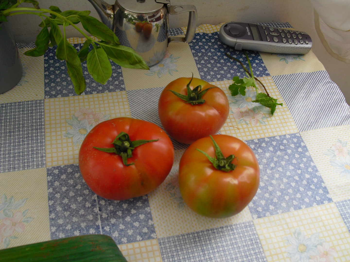 Tomates