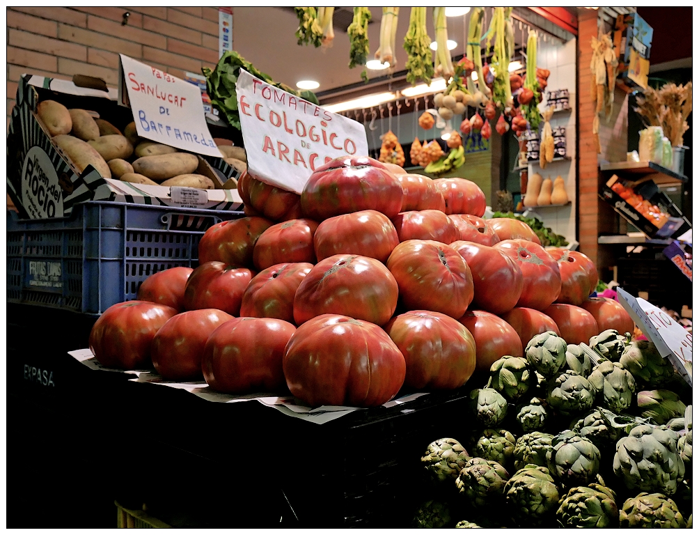 Tomates écologiques géantes